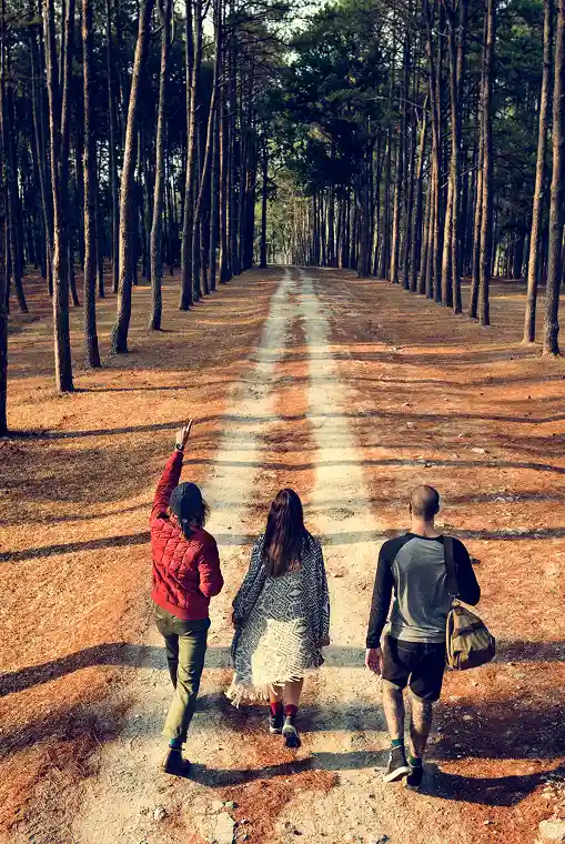 plans banner image